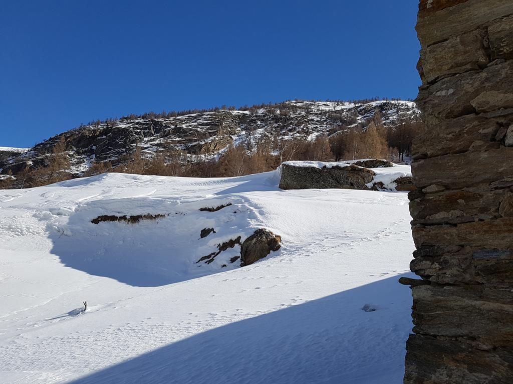 Monte Rosa Apartment ซาส-กรุนด์ ภายนอก รูปภาพ